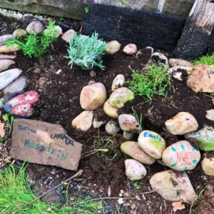 Anbau im Garten