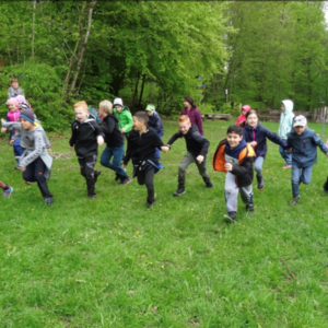 Natur erleben mit Bewegung