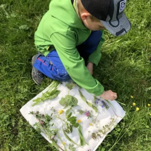 Wildkräuterevents