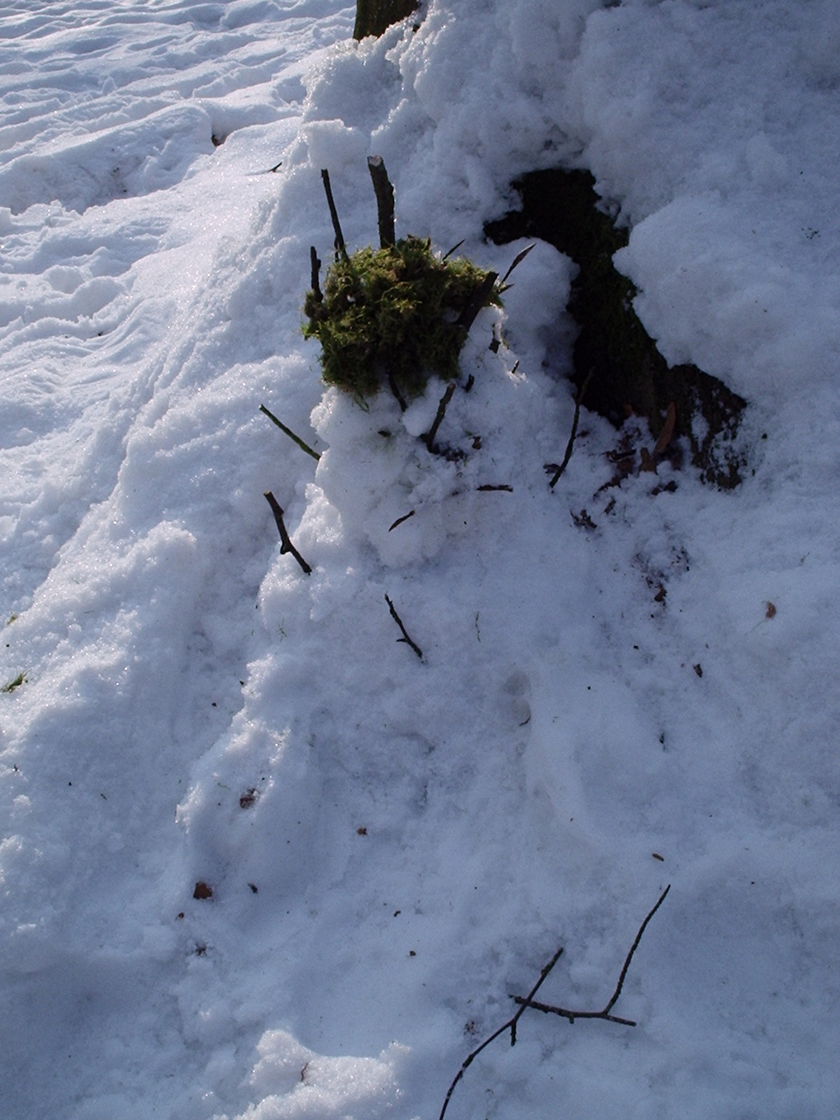 Schneegeist