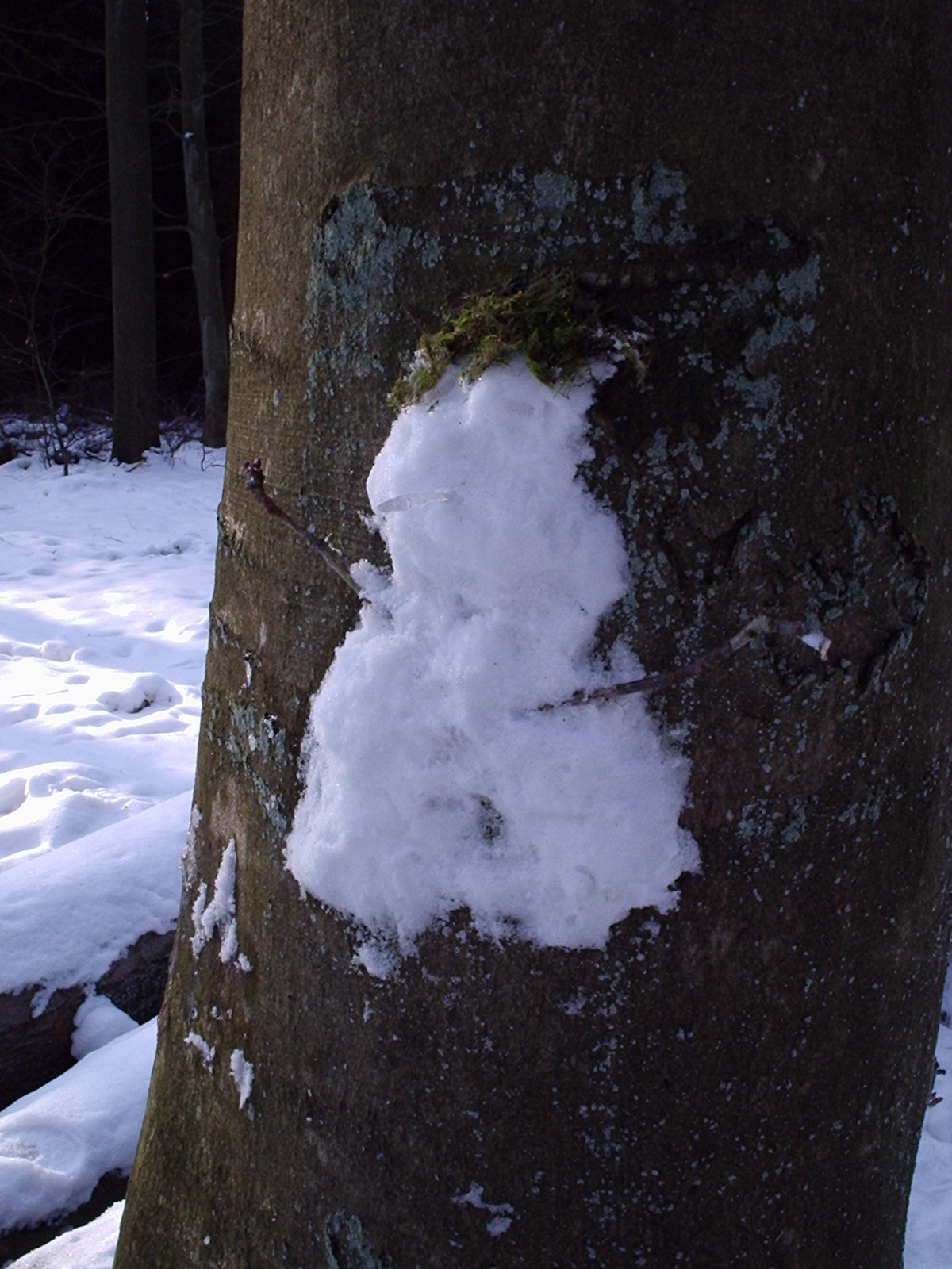 Schneegeist